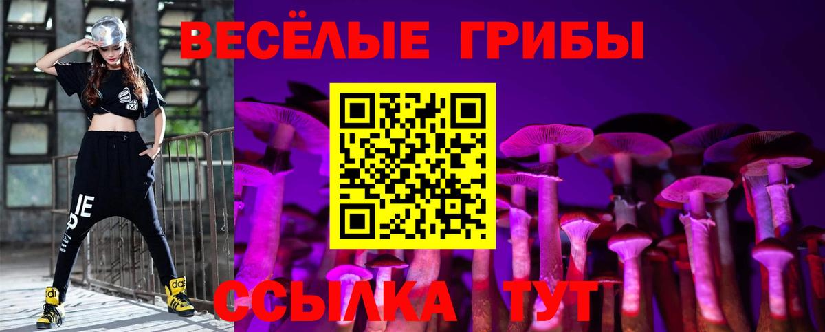 Галлюциногенные грибы Cubensis Северск